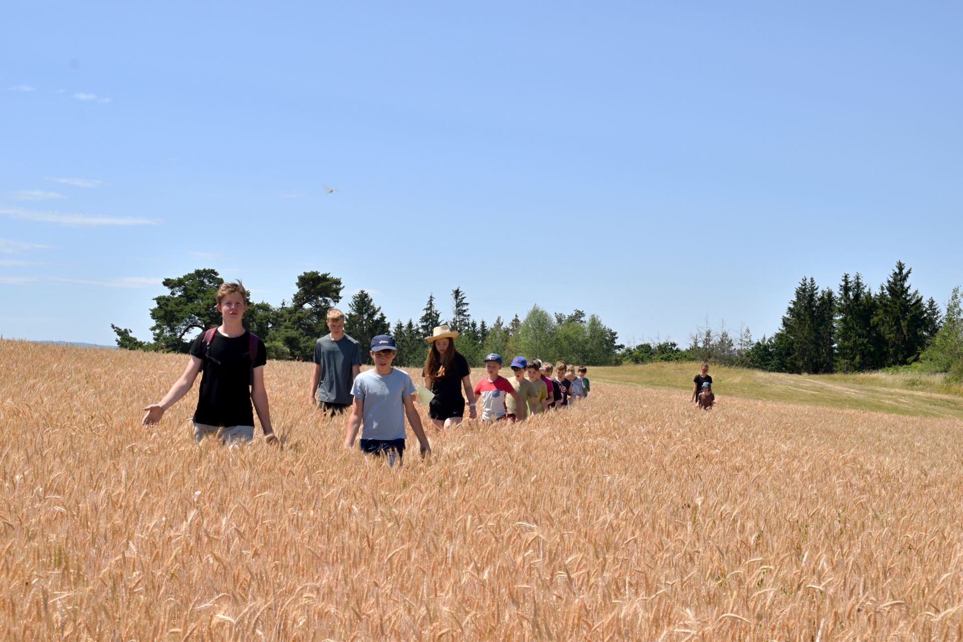 GEMINI tabor 2019 059