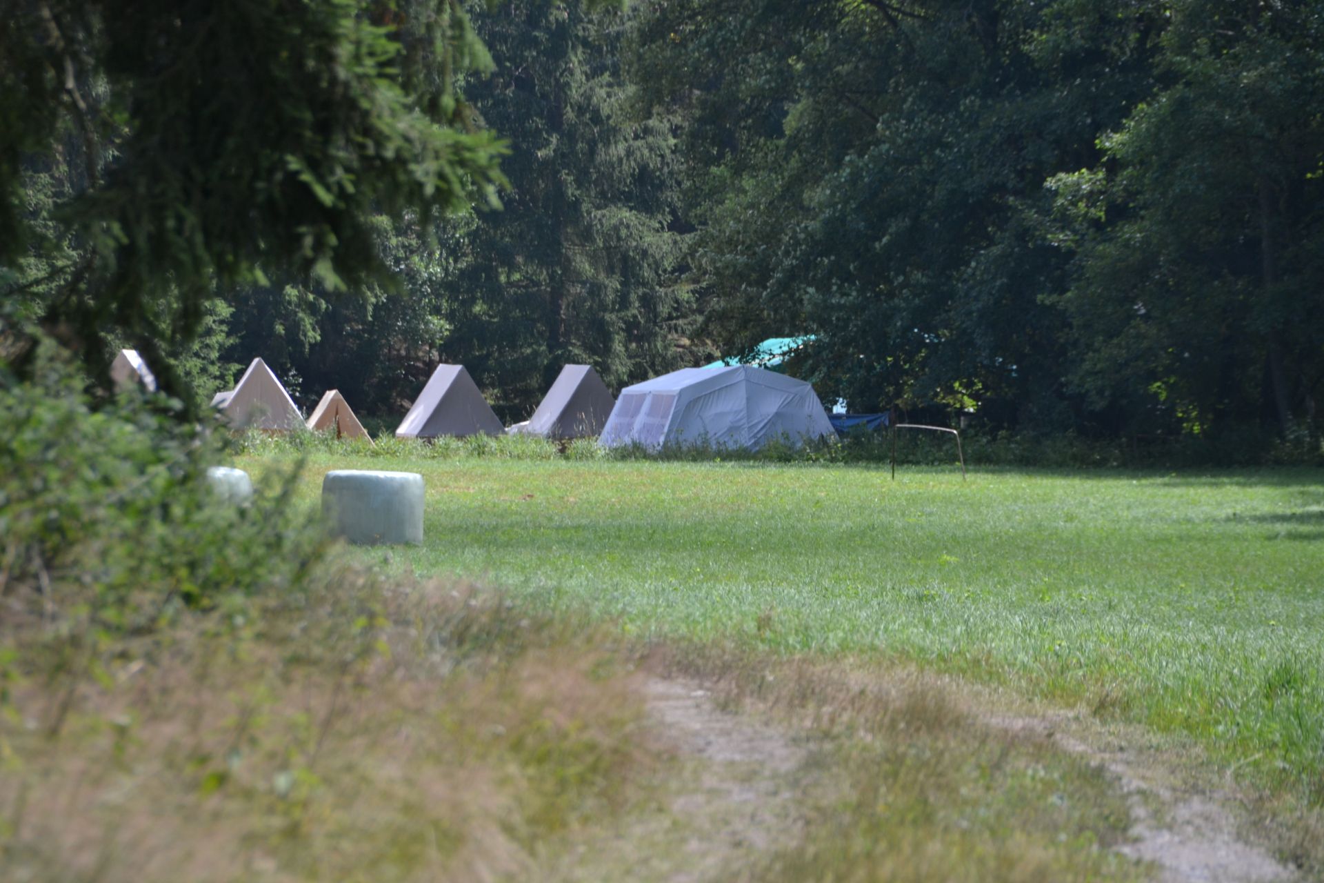 GEMINI tabor 2019 120