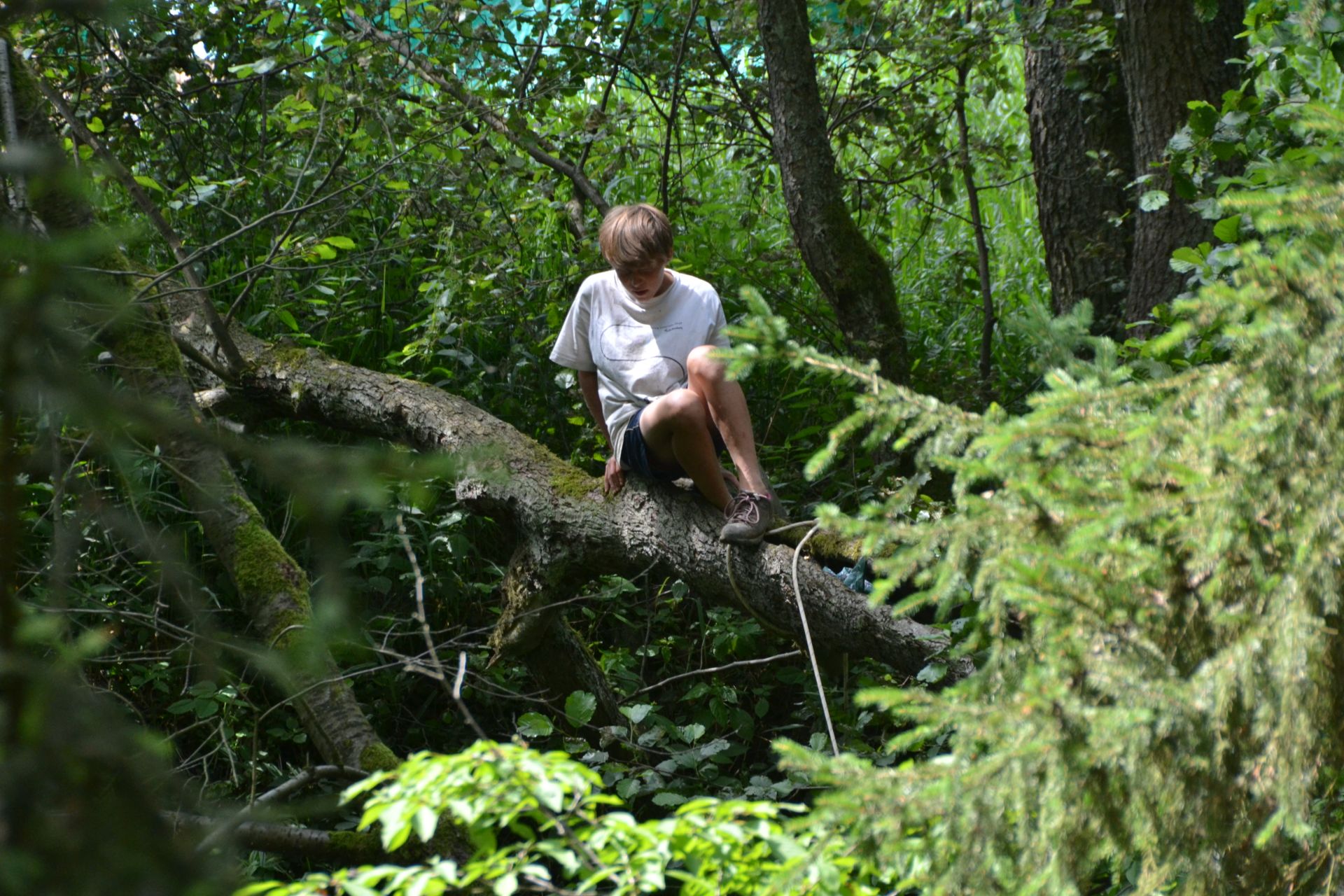 GEMINI tabor 2019 124