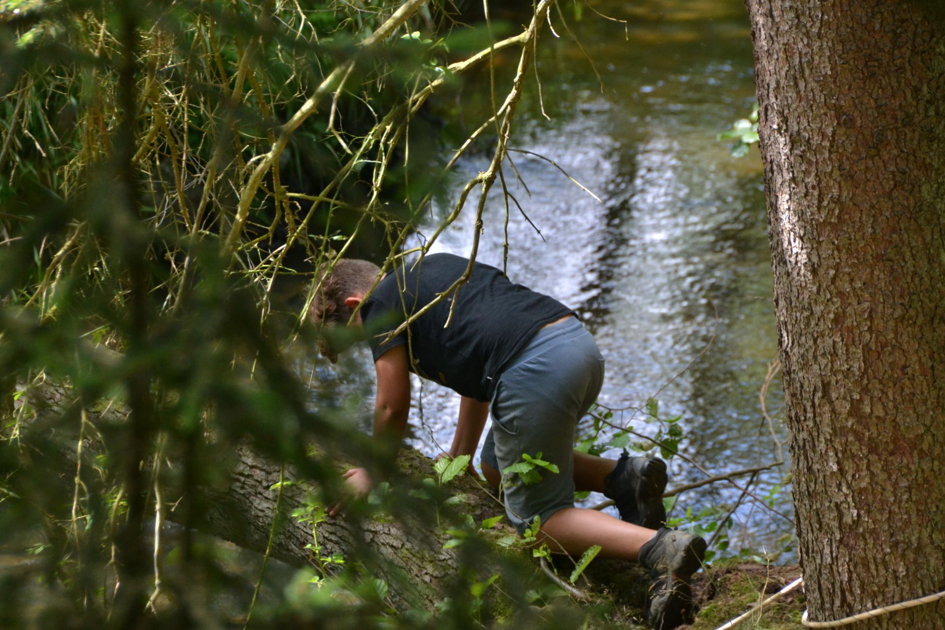 GEMINI tabor 2019 125