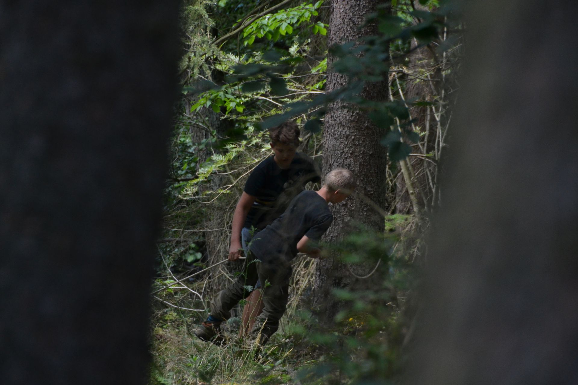 GEMINI tabor 2019 126