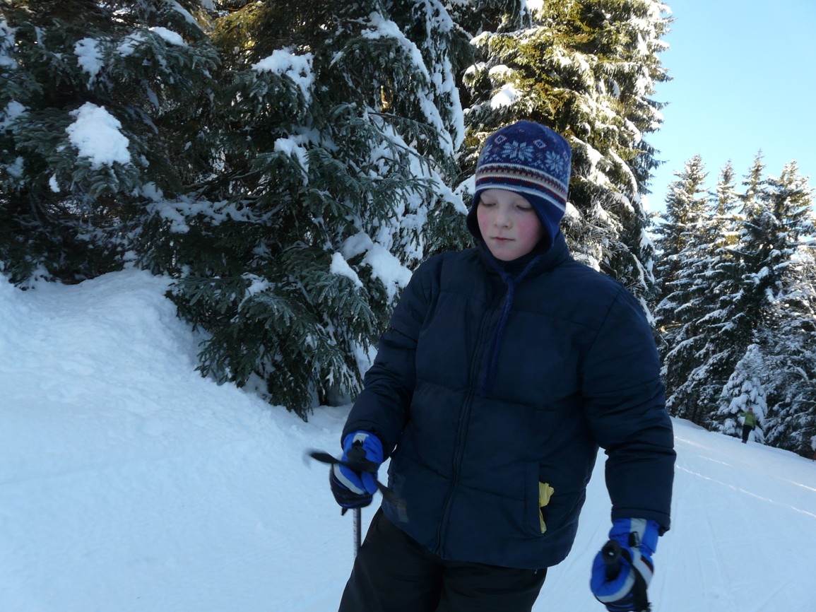 GEMINI z.s. | fotogaleire