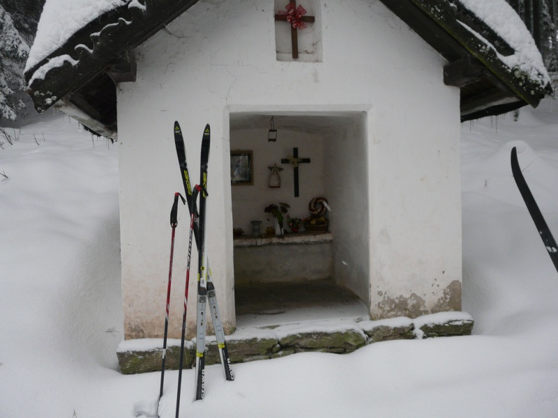 GEMINI z.s. | fotogaleire